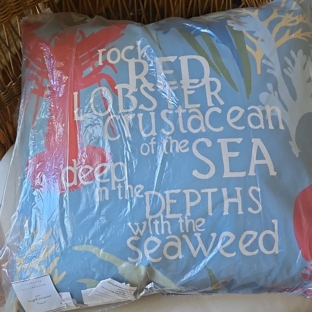 Pottery Barn Outdoor Pillow